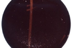 Pot_Plates08